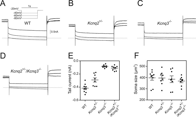 FIGURE 3.