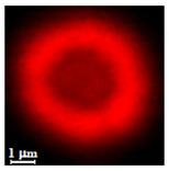 graphic file with name nanomaterials-10-01075-i014.jpg