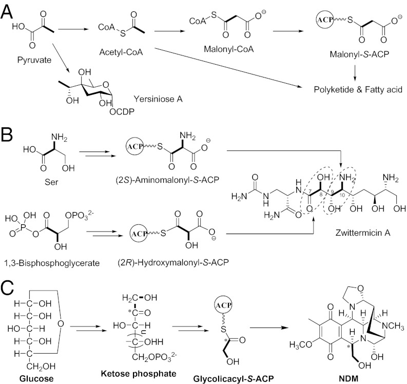 Fig. 6.