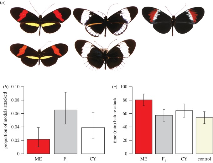 Figure 1.