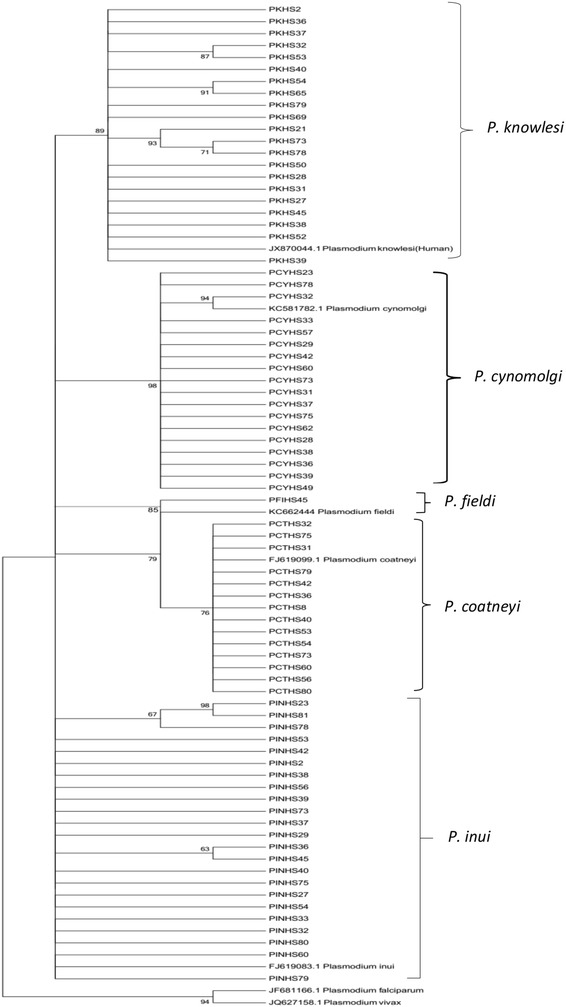 Fig. 3