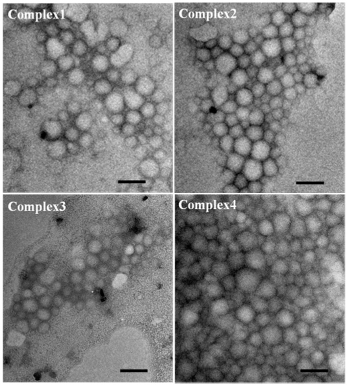 Figure 11