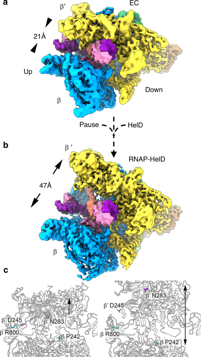 Fig. 4