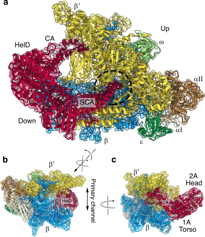 Fig. 2