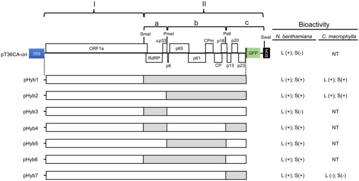 FIGURE 2