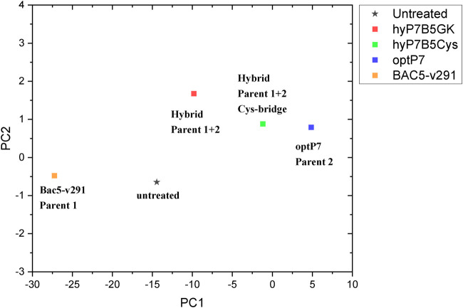 FIGURE 4