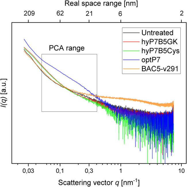 FIGURE 3