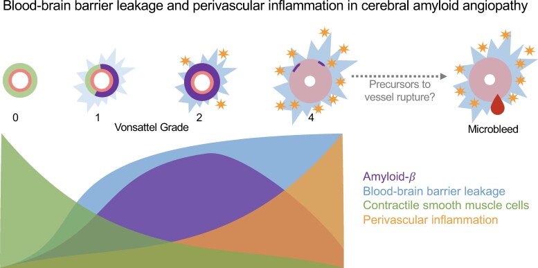 Graphical abstract