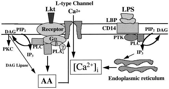 FIG. 8