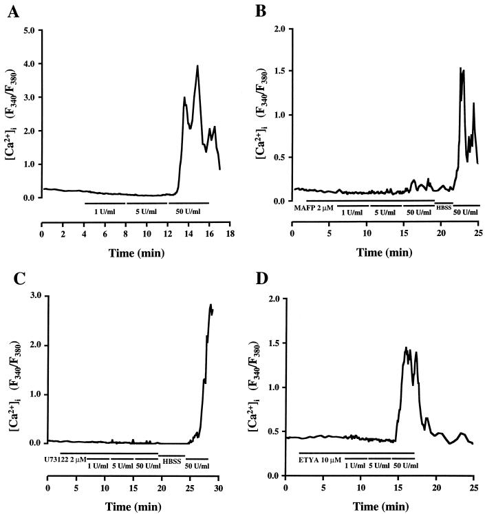 FIG. 6