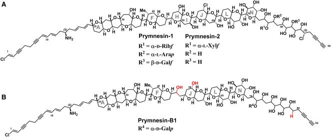 Figure 2.