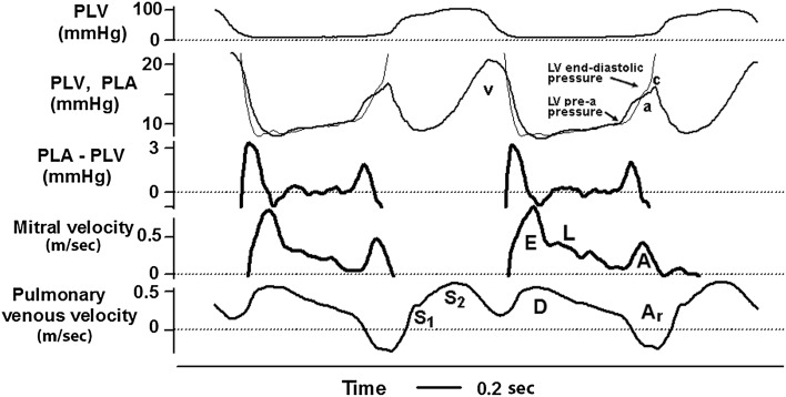 Fig. 2