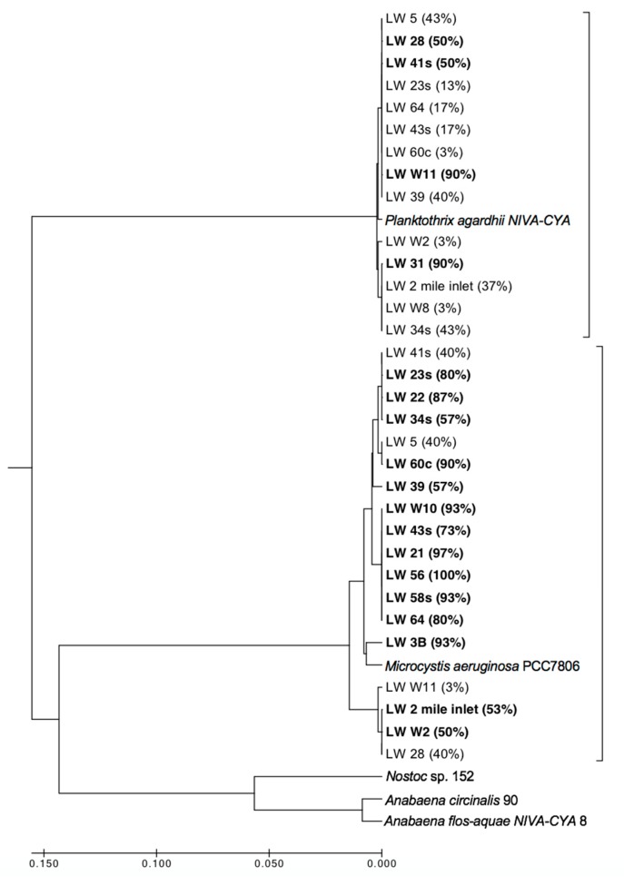 Figure 9