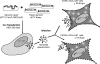 FIG. 2.