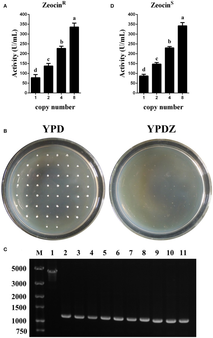 Figure 5