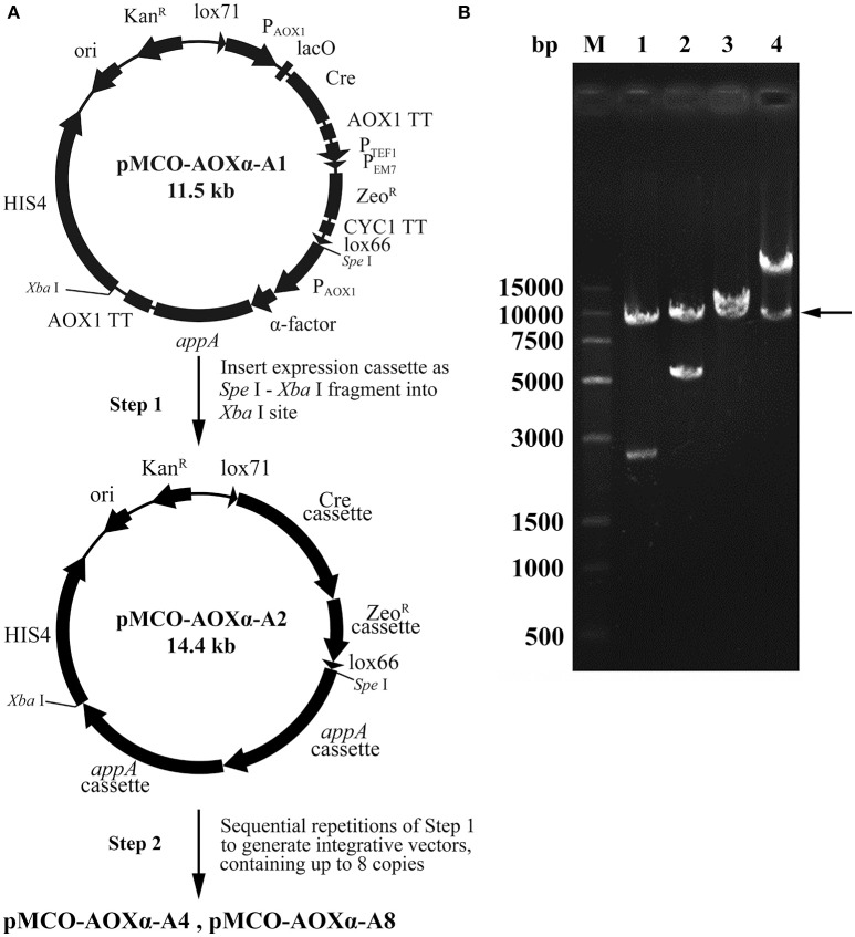 Figure 4