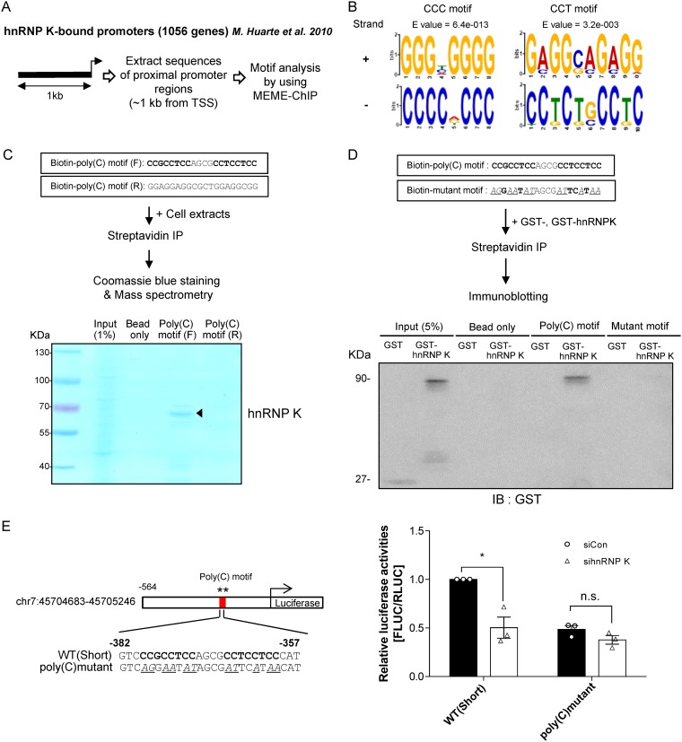 FIG 3