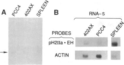 graphic file with name pnas00280-0292-a.jpg