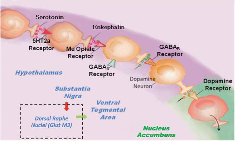 Figure 3.