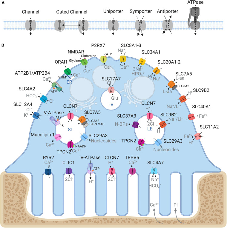 FIGURE 2