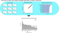 graphic file with name MBO3-10-e1214-g001.jpg