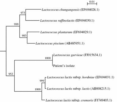 Fig. 2