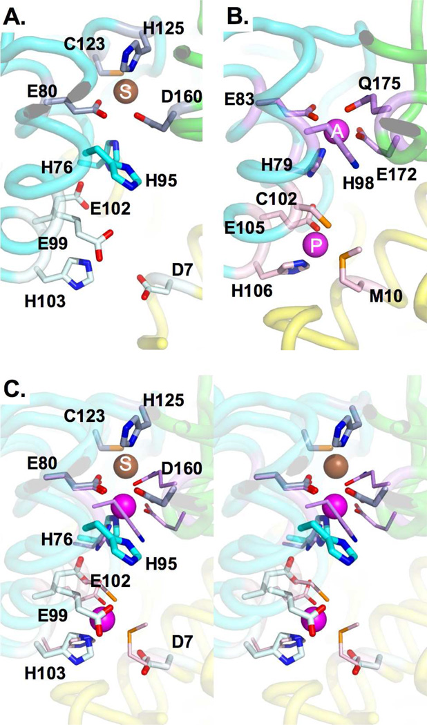 Figure 12