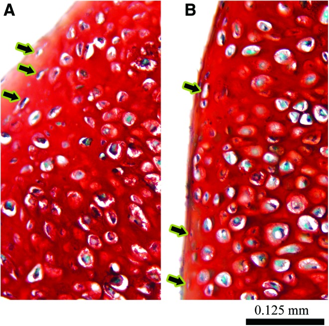 FIG. 5.