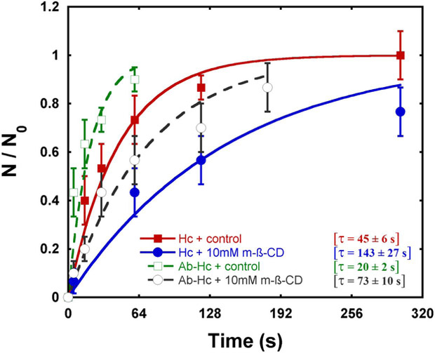 Figure 3 –