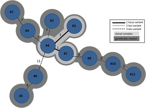 Fig. 3