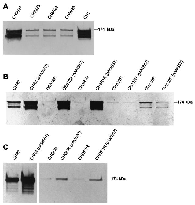 FIG. 5.