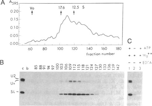 graphic file with name pnas01063-0160-c.jpg