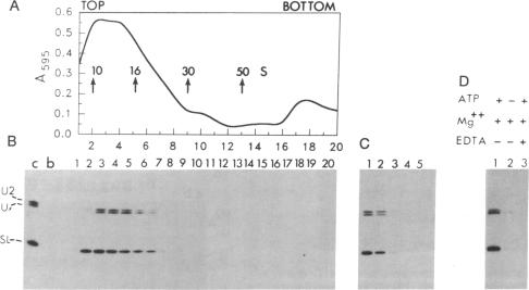 graphic file with name pnas01063-0158-a.jpg