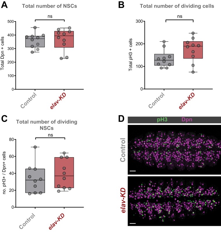 Figure 2—figure supplement 2.