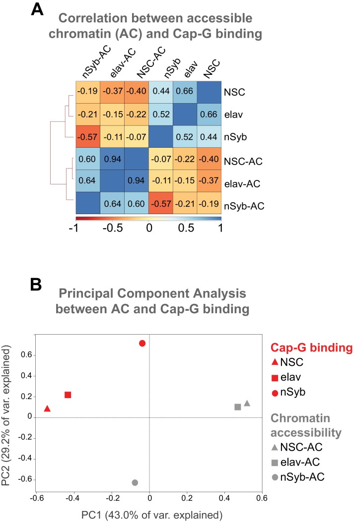 Figure 4—figure supplement 2.