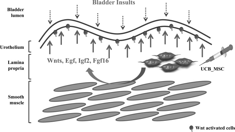 FIG. 7.