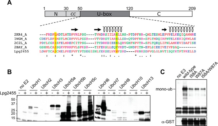 FIGURE 2.