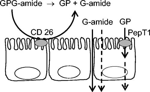 FIG. 4.