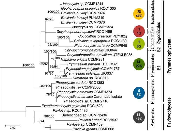 FIG 1 