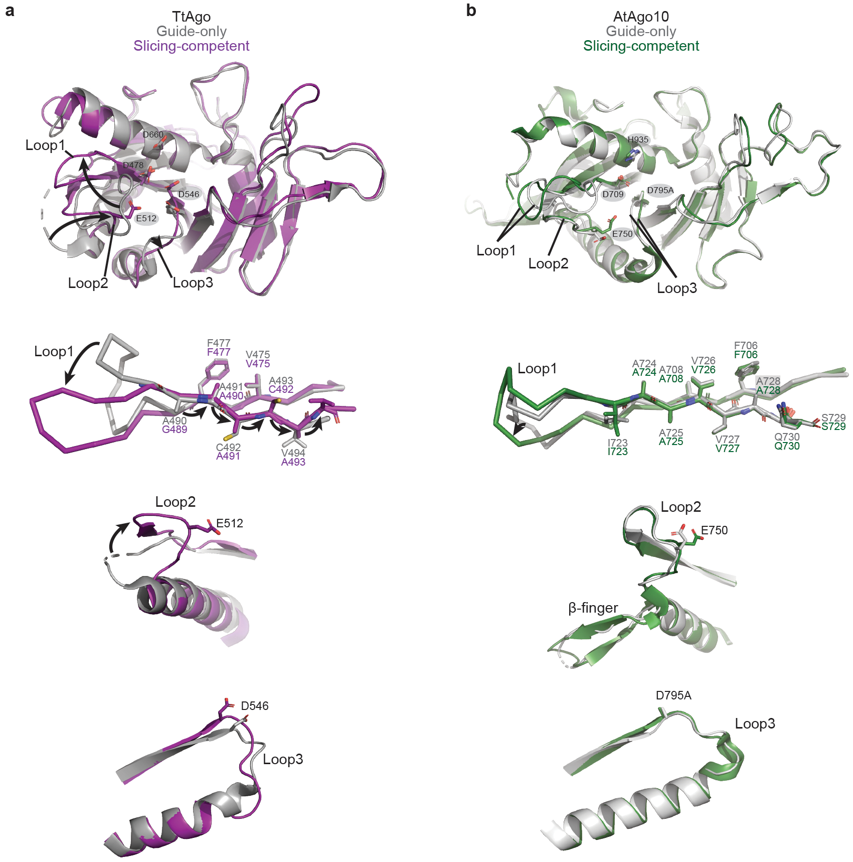 Fig. EV10.