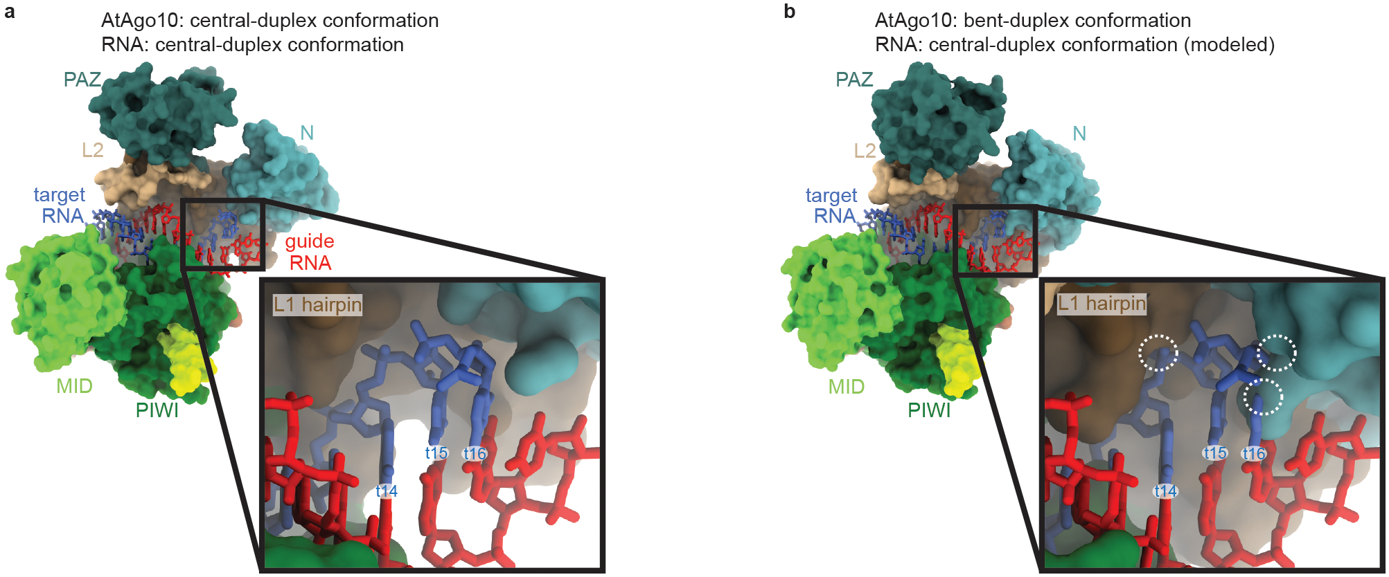 Fig. EV7.