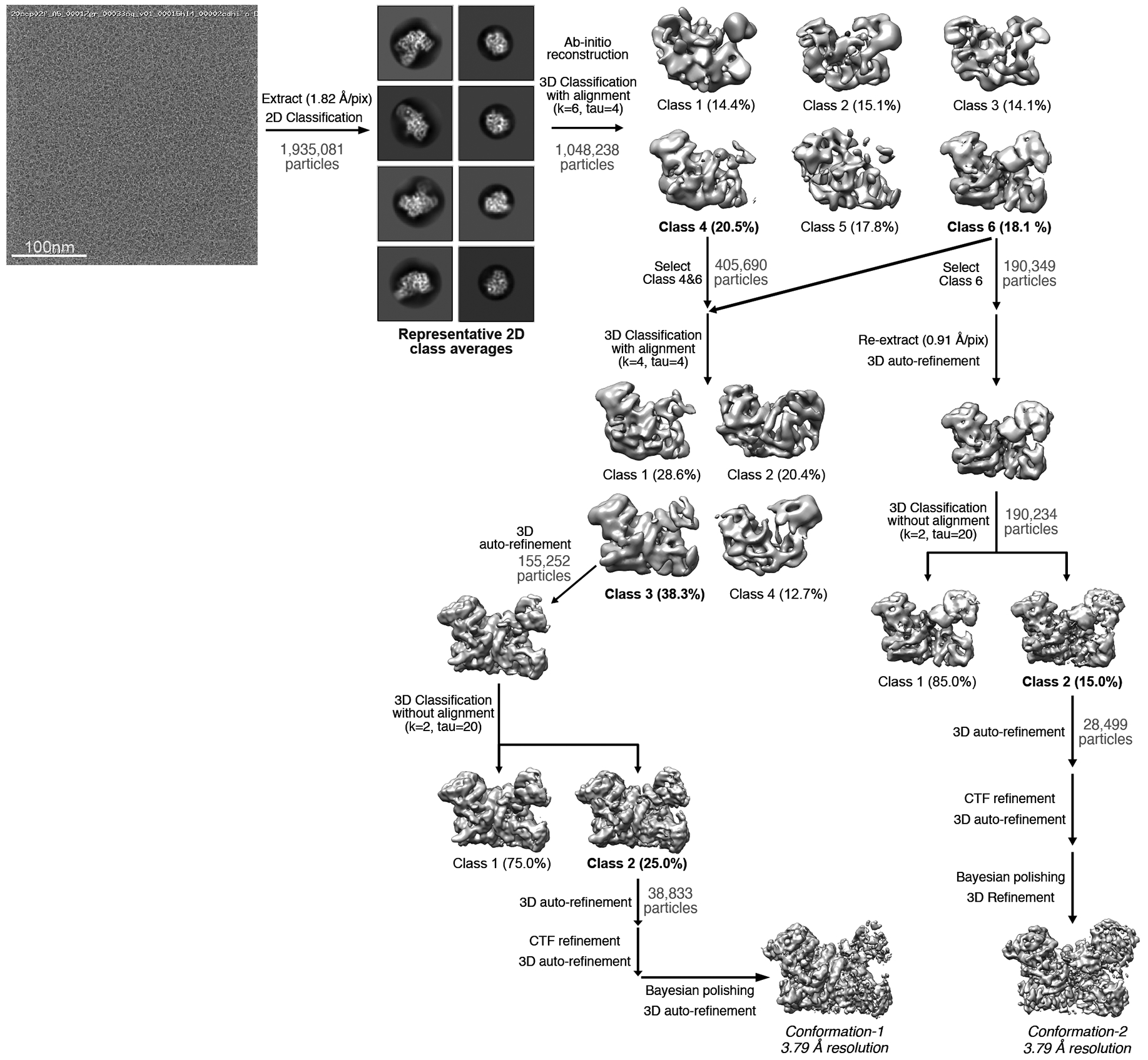 Fig. EV4.