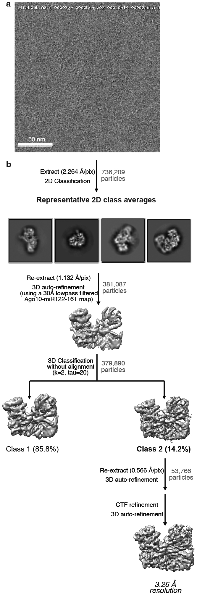 Fig. EV1.