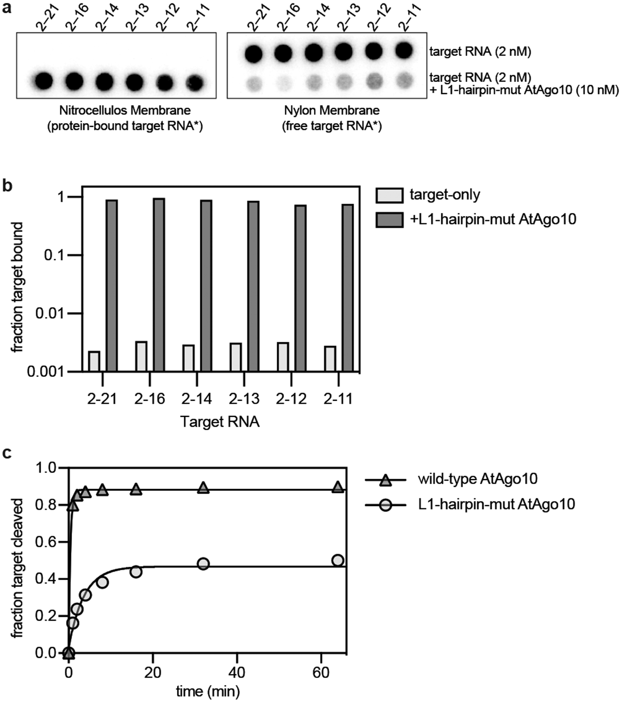 Fig. EV9.