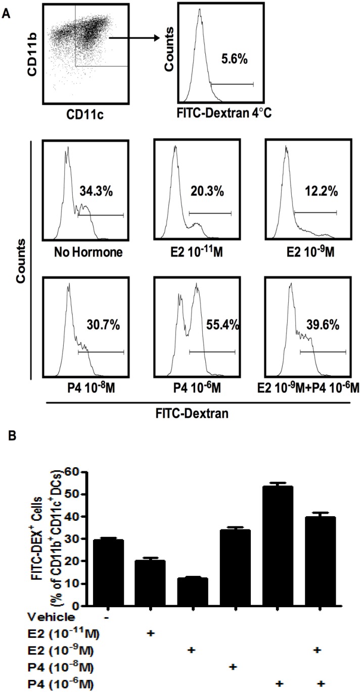 Fig 6