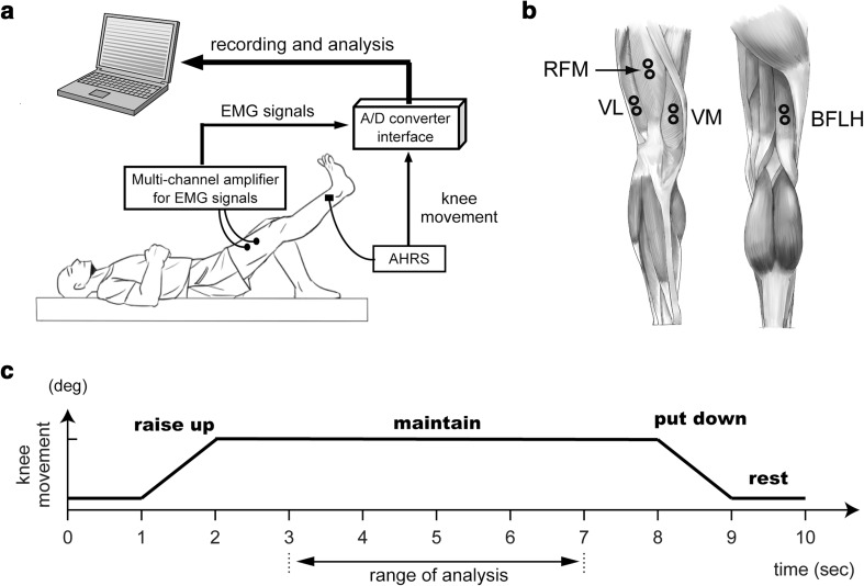 Fig. 1