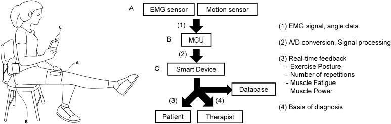 Fig. 6