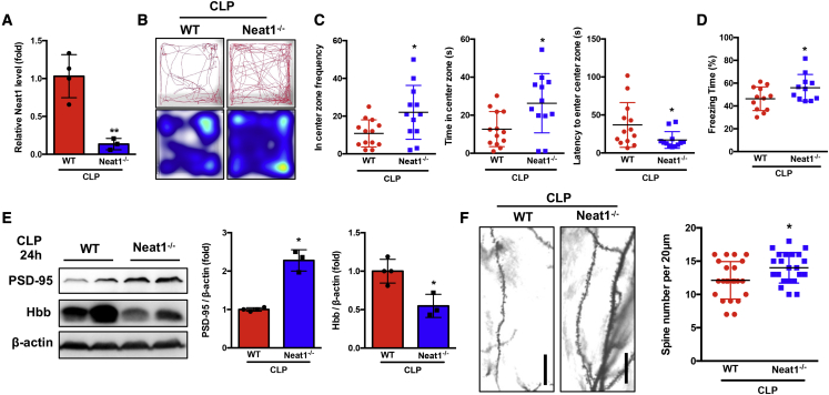 Figure 6