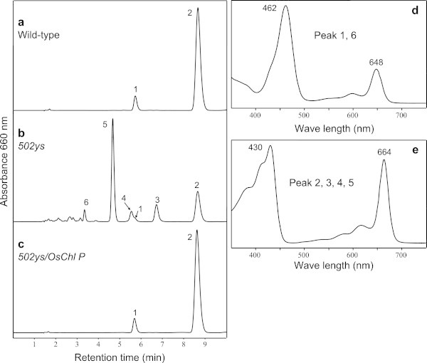 Figure 5