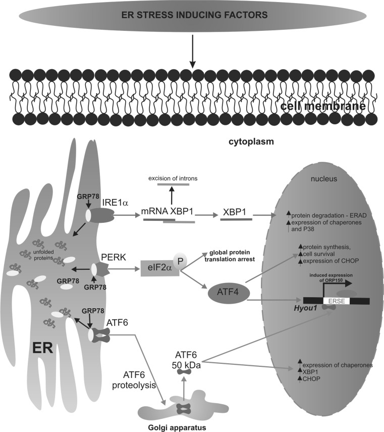 Fig. 1